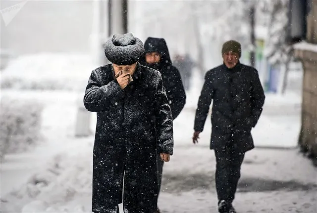 Сахалин в тревоге - МЧС предупреждает о надвигающемся циклоне